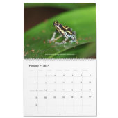 Cool Frogs Calendar Kalender (Feb 2027)
