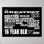 Cool Fun 16th Birthday Party Greatest 16 Year Old Poster (Voorkant)