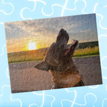 Cool Fun Dog Pet Foto, Familie Spel Nacht