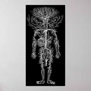 Cool Funny Geek Circulatory System Custom Poster