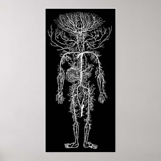 Cool Funny Geek Circulatory System Custom Poster (Voorkant)