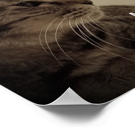 Cool & Funny Toilet Pee Sign Meme Poster (Hoek)