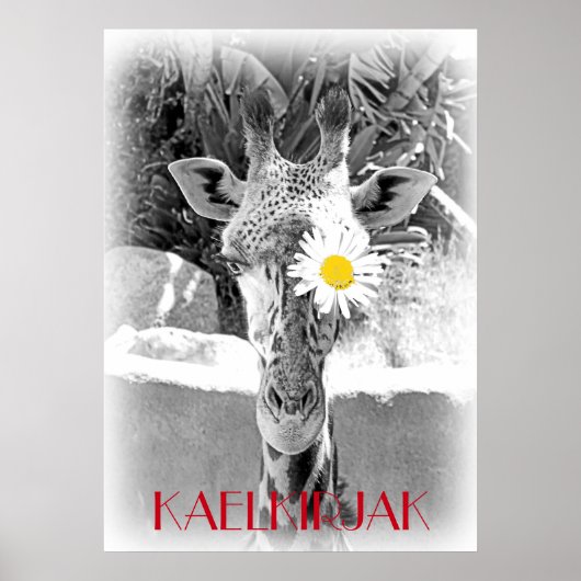 Cool Giraffe Poster! Poster (Voorkant)