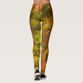 Cool Gouden Panoramatuin Bloemen Uitzicht Leggings (Achterkant)