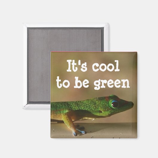 Cool Green Gecko Magneet (Voorkant / Achterkant)