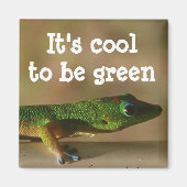 Cool Green Gecko Magneet (Voorkant)