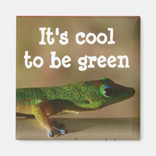 Cool Green Gecko Magneet