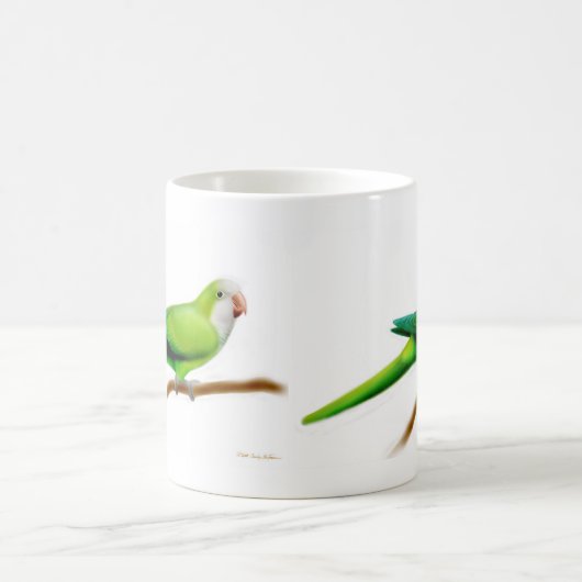 Cool Green Quaker Parrot Mok (Center)