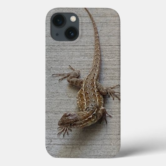 Cool hagedis op stoep Case-Mate iPhone case (Achterkant)