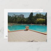 Cool Hakuna Matata Pool Side I love My Family.jpg Briefkaart (Voorkant / Achterkant)