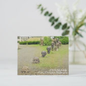 Cool Hans Christelijk Andersen Briefkaart! Briefkaart (Staand voorkant)