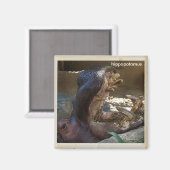 Cool Hippopotamus Magnet! Magneet (Voorkant / Achterkant)