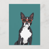 Cool Hipster Black en White Boston Terrier Briefkaart (Voorkant)
