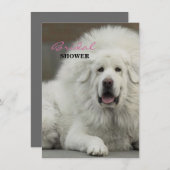 Cool Hondenliefhebber Tibetan Mastiff Kaart (Voorkant / Achterkant)