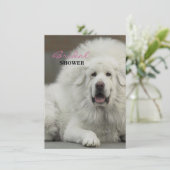 Cool Hondenliefhebber Tibetan Mastiff Kaart (Staand voorkant)