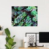 Cool Hued Burro's Tails in the Hot Desert Poster (Thuiskantoor)