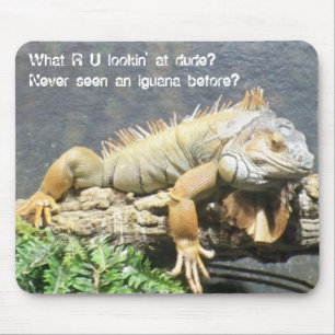 Cool Iguana Muismat