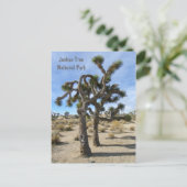 Cool Joshua Tree Briefkaart! Briefkaart (Staand voorkant)