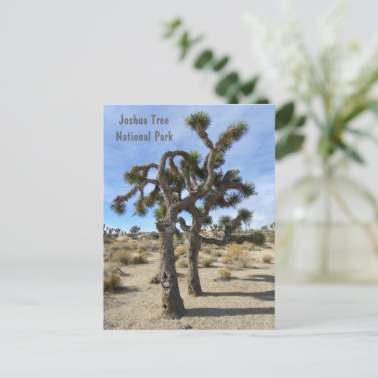 Cool Joshua Tree Briefkaart! Briefkaart (Staand voorkant)