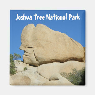 Cool Joshua Tree Park Magnet! Magneet