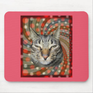 Cool Kat – JIJ KAPT JE Cadeau! Muismat