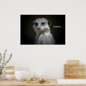 Cool Kat..... Poster (Keuken)