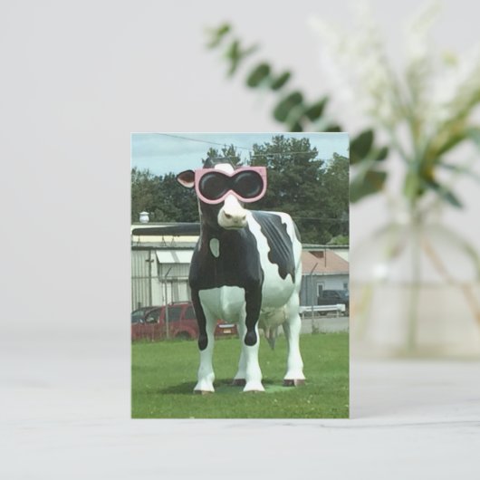 Cool koe 1 briefkaart (Staand voorkant)