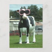 Cool koe 1 briefkaart (Voorkant)