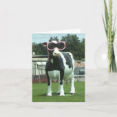 Cool koe 1 kaart (Voorkant)