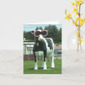 Cool koe 1 kaart (Gele Bloem)