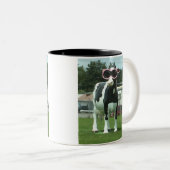 Cool koe 1 tweekleurige koffiemok (Voorkant rechts)