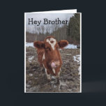 COOL KOE ZEGT "HAAG BIRTHDAY BROTHER" KAART<br><div class="desc">DEZE KOE LEEFT EEN PAAR MILJAREN UIT ONS. WE HOEVEN DAT HIJ DE ANDERE DAG HEEFT GESTELD EN NU KAN HIJ ZEGGEN "HAPPY BIRTHDAY" OP EEN VREEMDE MANIER ALS IEMAND IN "UW LEVEN" BEDANKT OM TE STOPPEN MET 1 VAN MIJN 8 STORES!</div>