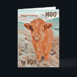 COOL KOE ZEGT U MOO *16th BIRTHDAY* Kaart<br><div class="desc">DANK U VOOR HET OPLOSSEN VAN 1 VAN MIJN 8 STORES!!!!!!</div>
