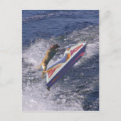 Cool Lab Jumping Waves Briefkaart (Voorkant)