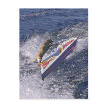 Cool Lab Jumping Waves