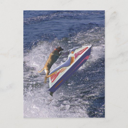 Cool Lab Jumping Waves Briefkaart (Voorkant)