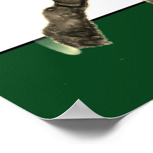 Cool Lacrosse Poster (Hoek)