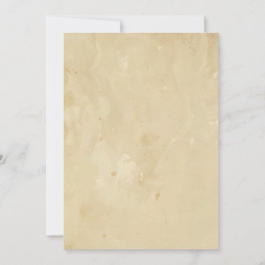 Cool lama meisje fiesta verjaardagsdouche uitnodig kaart (Achterkant)