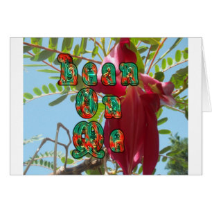 Cool Lean op me lager.jpg