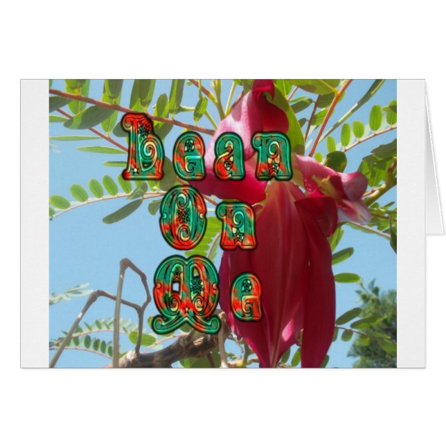 Cool Lean op me lager.jpg (Voorkant Horizontaal)