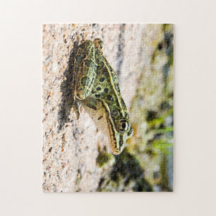 Cool Leopard Frog Legpuzzel