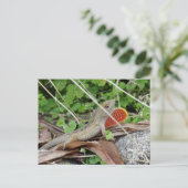Cool Lizard Anole Briefkaart (Staand voorkant)