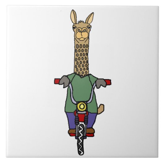 Cool Llama Riding Bicycle Cartoon Tegeltje (Voorkant)