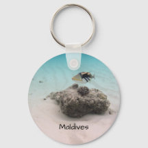 Cool Maldives Underwater Coral Fish Souvenir