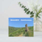 Cool Malibu Briefkaart! Briefkaart (Staand voorkant)