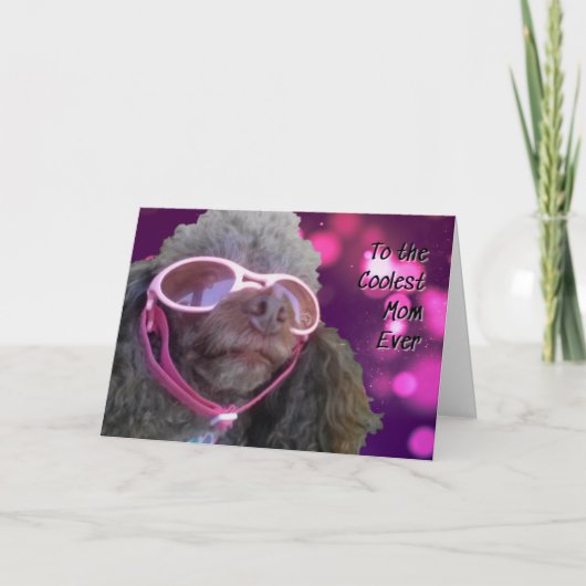 Cool mam Poodle Happy Mothers Day Kaart (Voorkant)