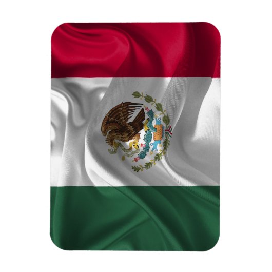 Cool Mexico Flag Design Magneet (Verticaal)