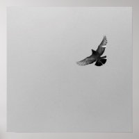 Cool Modern B&W flying bird simple modern design
