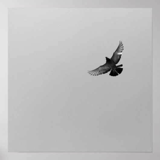 Cool Modern B&W flying bird simple modern design Poster (Voorkant)