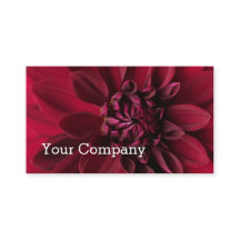 Cool Modern Red Dahlia Floral